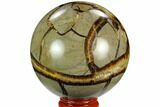 Polished Septarian Sphere - Madagascar #122912-1